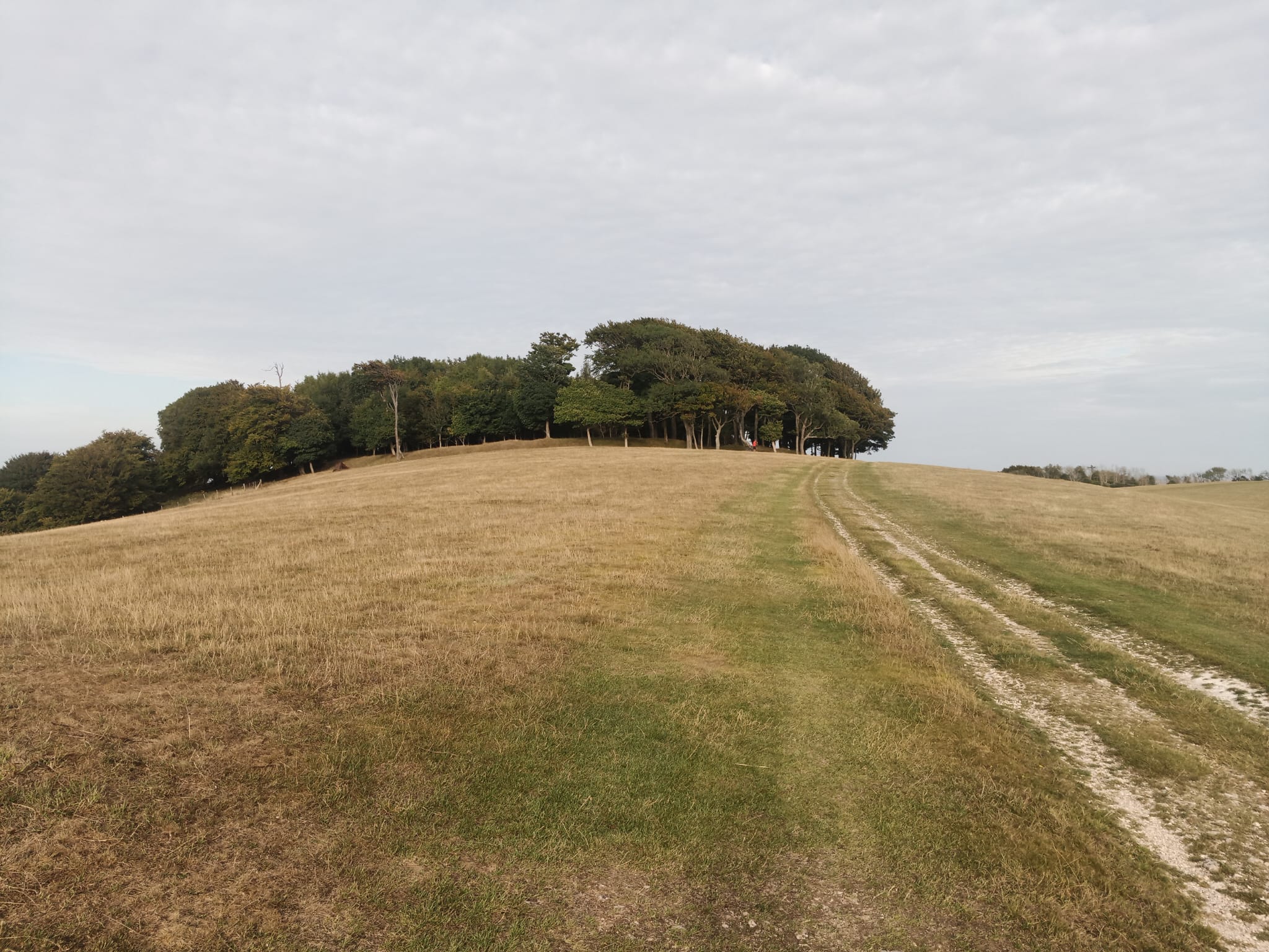 chanctonbury ring